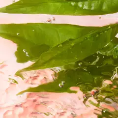护肤文章插图