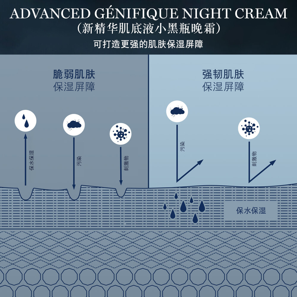 Advanced Genifique Night Cream（新精华肌底液小黑瓶晚霜）