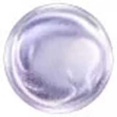 烟酰胺
