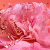 粉红色花瓣,配以水滴。