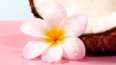 莫诺伊花香调