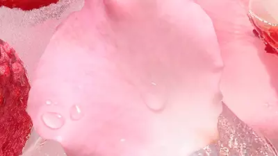 浓缩玫瑰精华