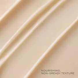 ABSOLUE PREMIUM βx NIGHT CREAM（金纯臻颜晚霜）