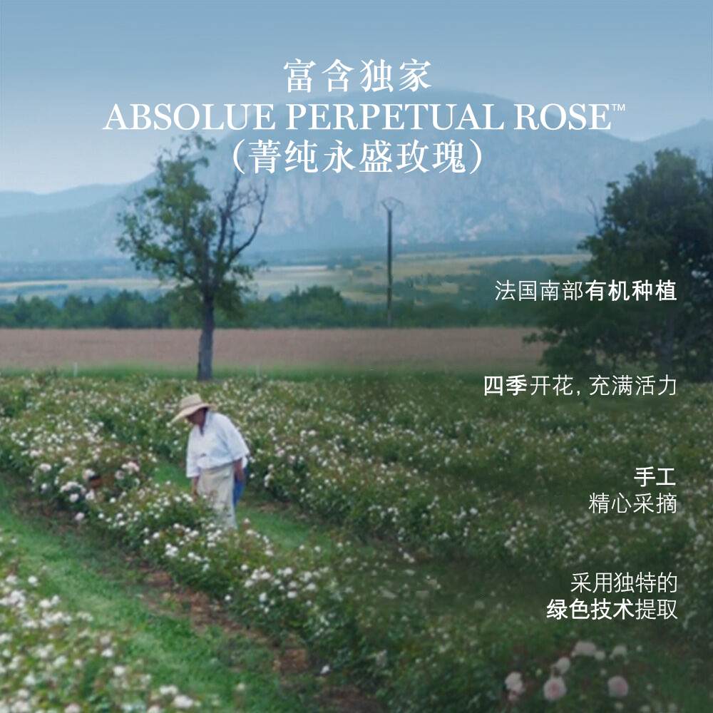 Absolue Soft Cream（菁纯臻颜焕活亮彩柔润面霜）两件套